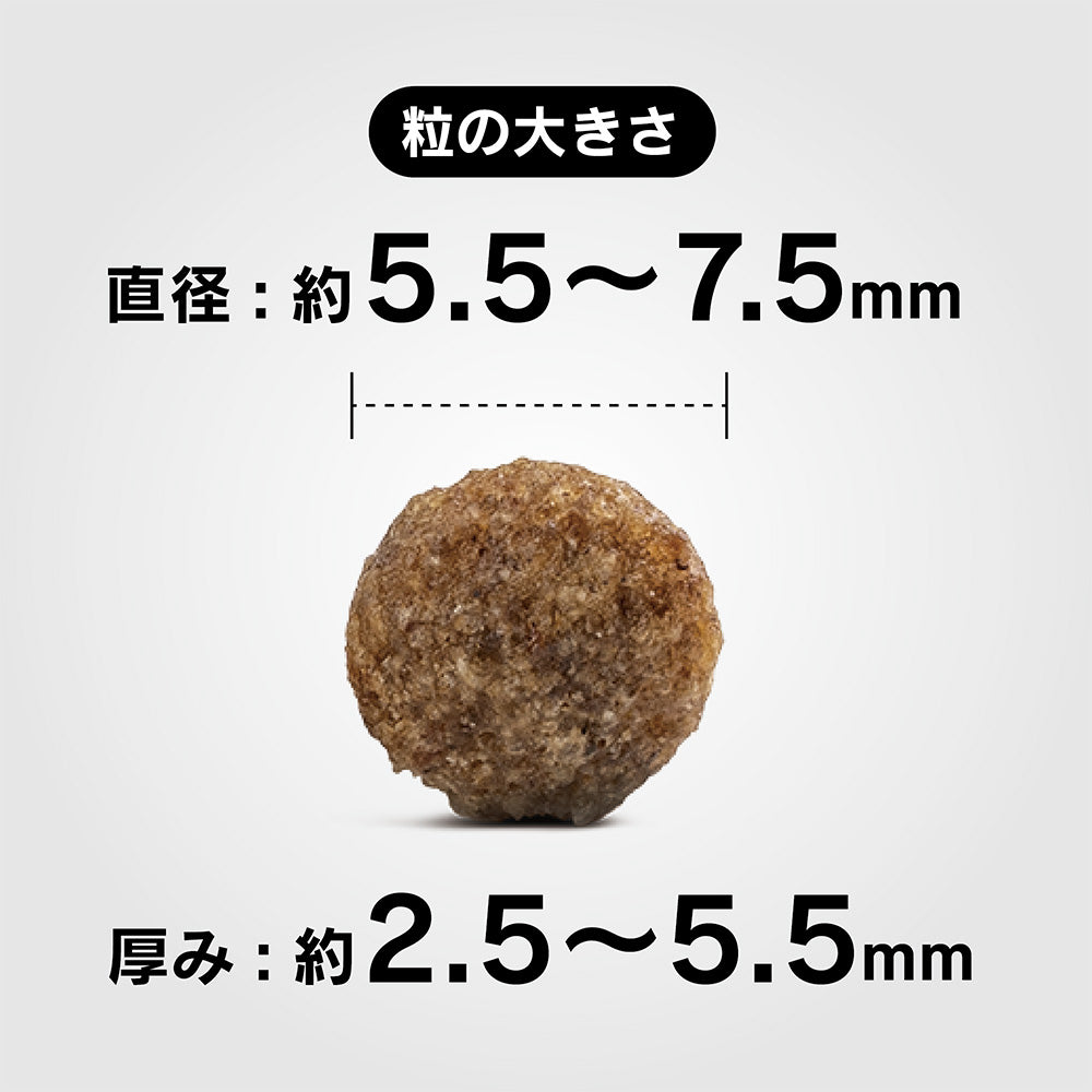 ハッピードッグ HAPPY DOG ドッグフード ミニ フィット＆バイタル パピー（生後1～12ヶ月） 4kg【送料無料】