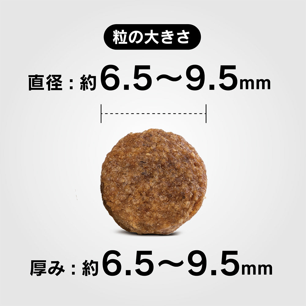ハッピードッグ HAPPY DOG ドッグフード ミニ フィット＆バイタル シニア（シニア犬用） 4kg【送料無料】