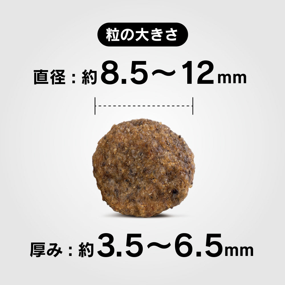 ハッピードッグ HAPPY DOG ドッグフード ミニ センシブル モンタナ（グレインフリー）馬肉 アレルギーケア（成犬～シニア犬用） 800g