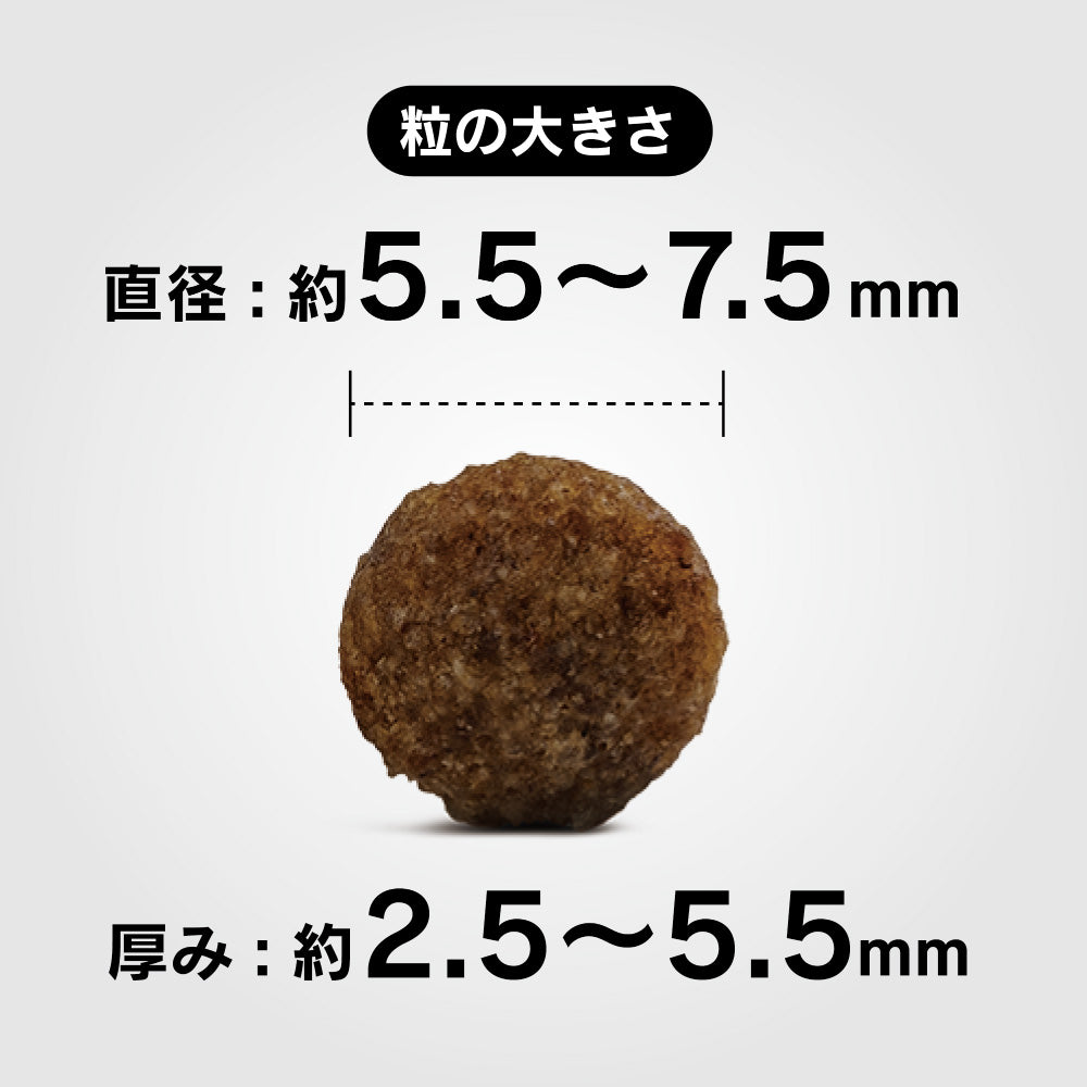 ハッピードッグ HAPPY DOG ドッグフード ミニ センシブル パピー ラム＆ライス 消化器ケア（生後1～12ヶ月） 80g
