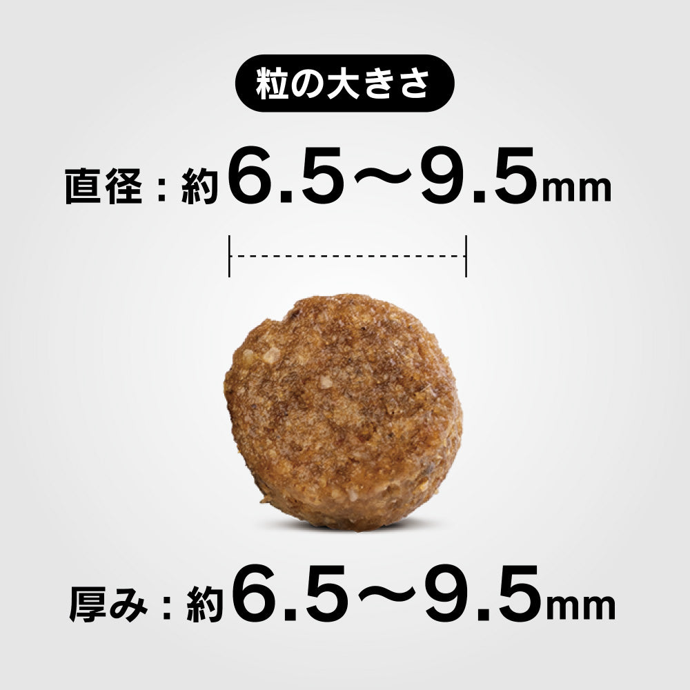 ハッピードッグ HAPPY DOG ドッグフード ミニ フィット＆バイタル アダルト（成犬用） 80g
