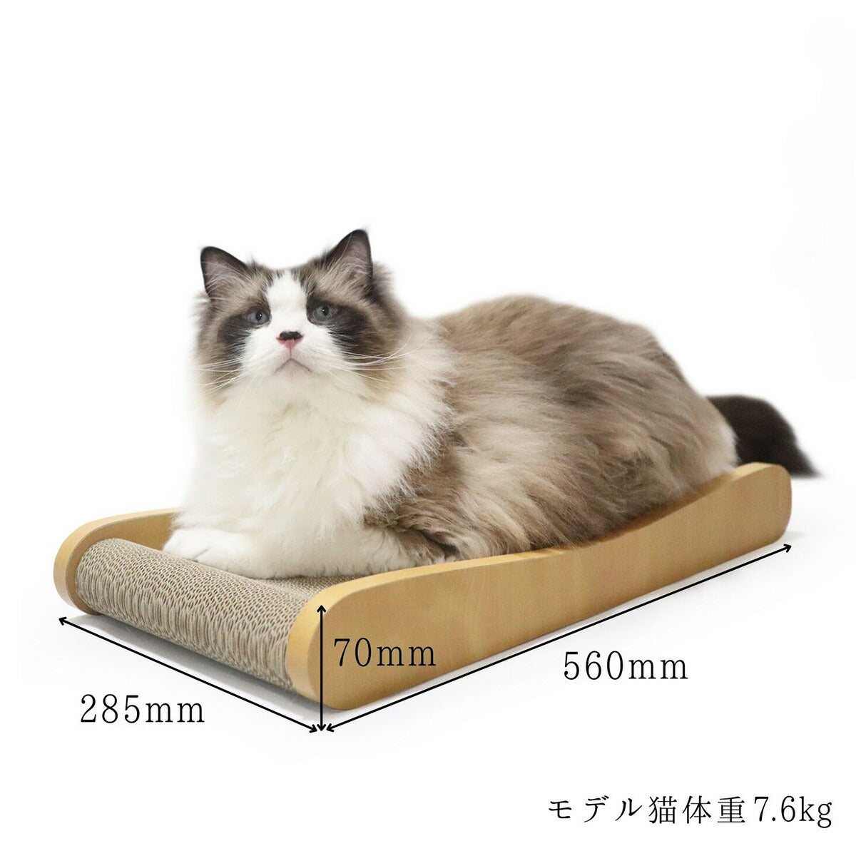 HappyDays ゴミが出にくいつめとぎベッド L【送料無料】 爪とぎ 猫 おもちゃ