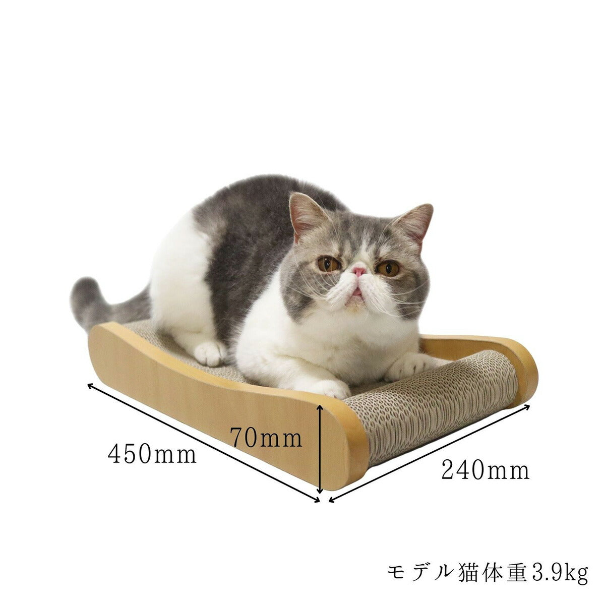 HappyDays ゴミが出にくいつめとぎベッド M 爪とぎ 猫 おもちゃ