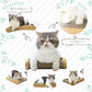 HappyDays ゴミが出にくいつめとぎベッド M 爪とぎ 猫 おもちゃ