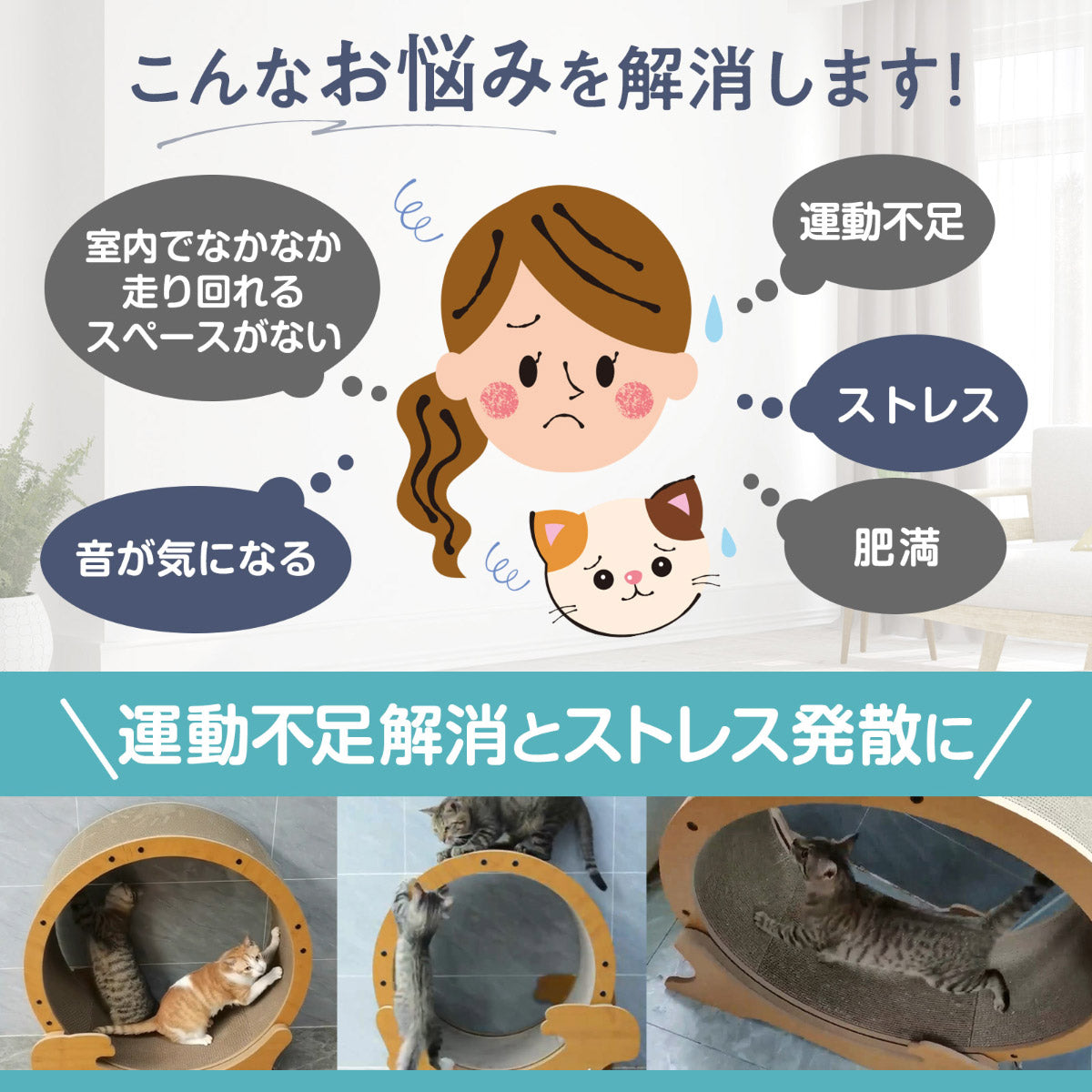 HappyDays キャットランニングマシン L【送料無料】 爪とぎ 猫 おもちゃ