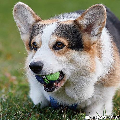 ジョイサー JOYSER ジョイサーボール 犬用おもちゃ ライム