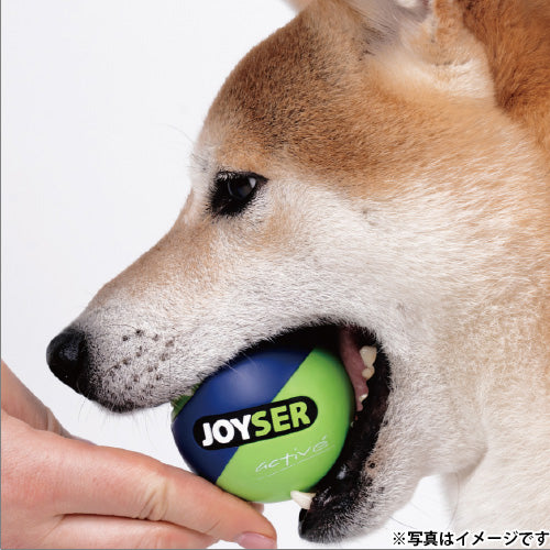 ジョイサー JOYSER ジョイサーボール 犬用おもちゃ ライム