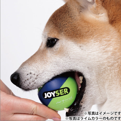 ジョイサー JOYSER ジョイサーボール 犬用おもちゃ ブルー