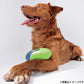 ジョイサー JOYSER ジョイサーラグビーボール 犬用おもちゃ ライム