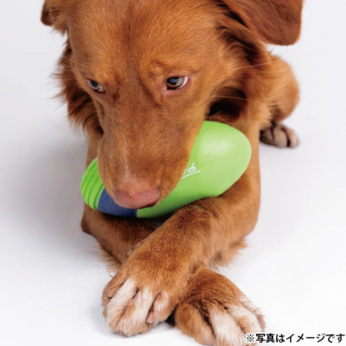 ジョイサー JOYSER ジョイサーラグビーボール 犬用おもちゃ ライム