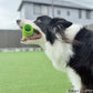 ジョイサー JOYSER ホールスティック 犬用おもちゃ ライム