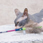 ジョイサー JOYSER フェザーワンド 猫用おもちゃ ライム