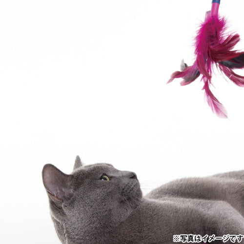 ジョイサー JOYSER フェザーワンド 猫用おもちゃ ピンク