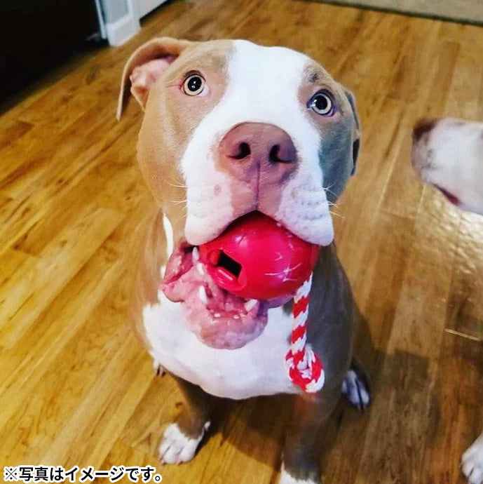 ソダパップ USA-K9 タグトイ チェリーボム L レッド【送料無料】