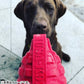 ソダパップ チュートイ＆トリートディスペンサー USA-K9 パピー グレネード L ピンク【送料無料】