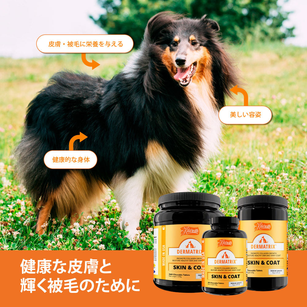 ファンタジーワールド カラヘルス サプリメント ダーマトリックス 45粒【送料無料】 皮膚 被毛