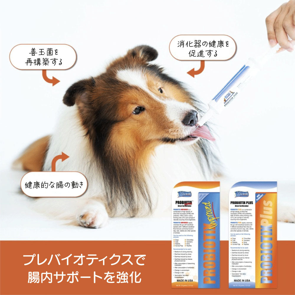 ファンタジーワールド カラヘルス サプリメント プロバイオティクス プラス 30g【送料無料】 お腹