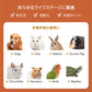 ファンタジーワールド カラヘルス サプリメント プロバイオティクス プラス 30g【送料無料】 お腹