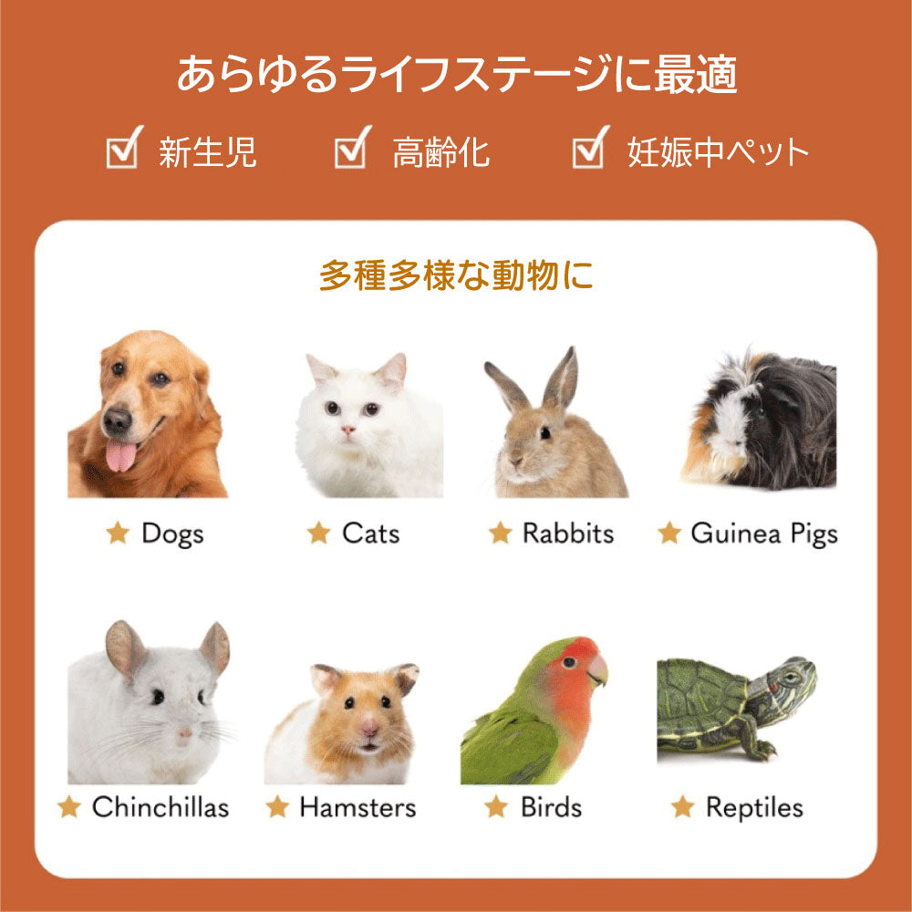 ファンタジーワールド カラヘルス サプリメント プロバイオティクス プラス 30g【送料無料】 お腹