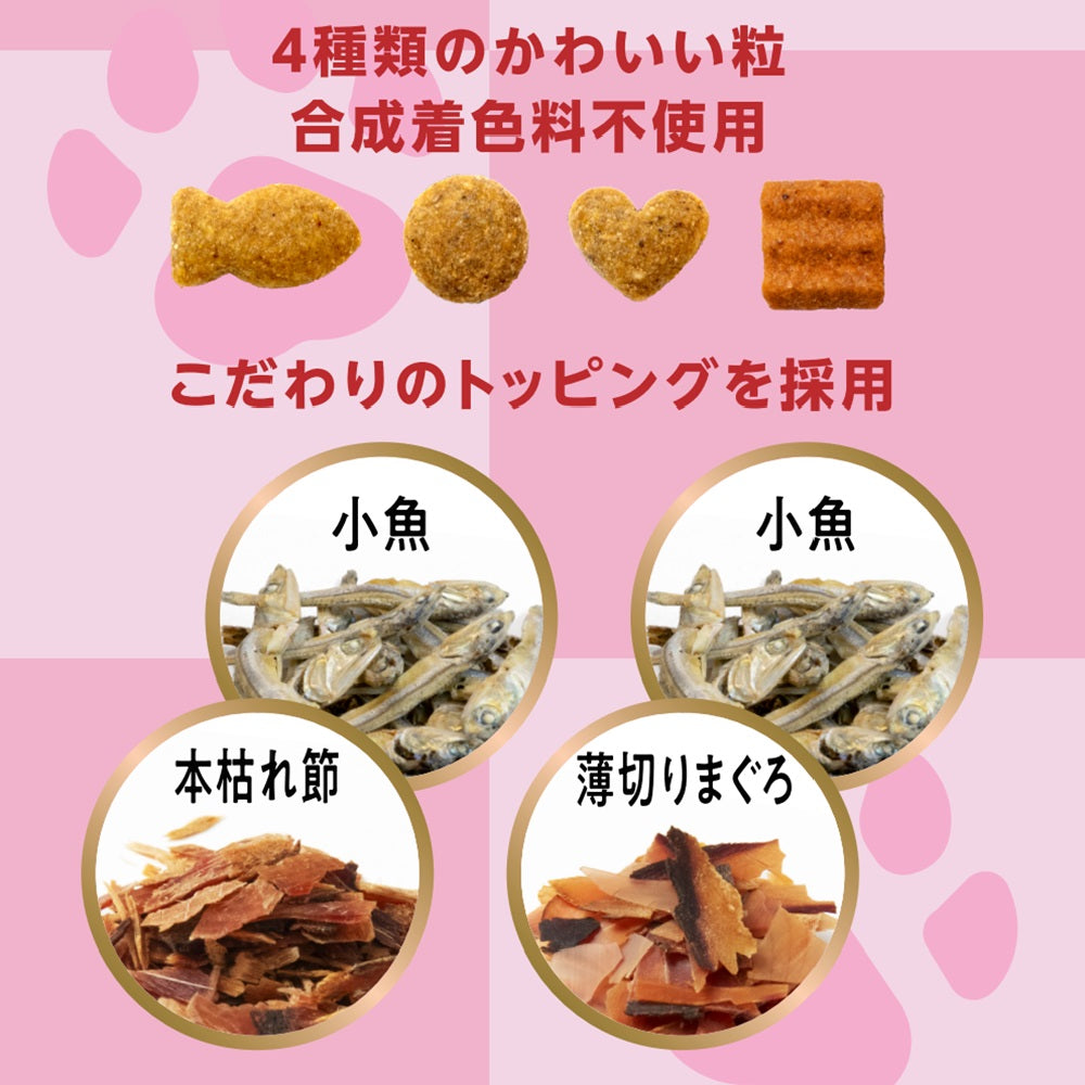 ペットライン 懐石 2つのごほうび キャットフード 小魚添えペア 650g（65g×10）