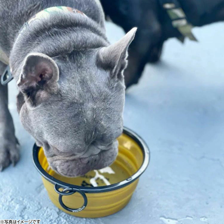 KILONINER キロナイナー CB1 Collapsible Dog Bowls 折り畳みドッグボウル S Black