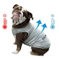 KILONINER キロナイナー ドッグウェア ACTIVE COOLING SHIRT アクティブクーリングシャツ XL Light Grey【送料無料】