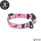 KILONINER キロナイナー M2C Lightspeed Collar ライトスピードカラー（首輪） L Pink Camo【送料無料】