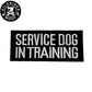 KILONINER キロナイナー カスタマイズ用パッチ SERVICE DOG IN TRAINING Patch
