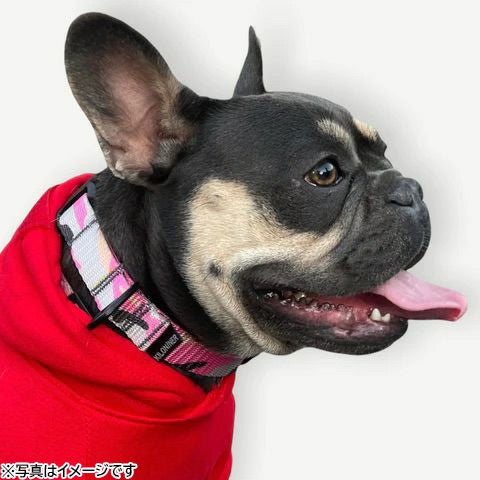 KILONINER キロナイナー M2C Lightspeed Collar ライトスピードカラー（首輪） M Black【送料無料】