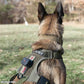 KILONINER キロナイナー 2023モデル M1 Light Speed Harness M1 ライトスピード ハーネス L Tigerstripe Camo【送料無料】