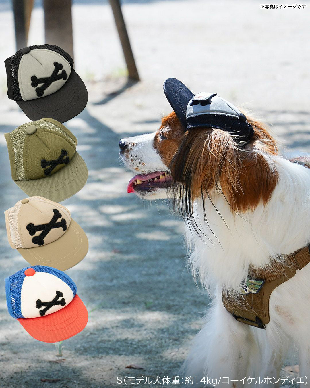 キロナイナー KLONINER カスタムファンキャップ Custom Fun Cap 犬の帽子 XS ブラック