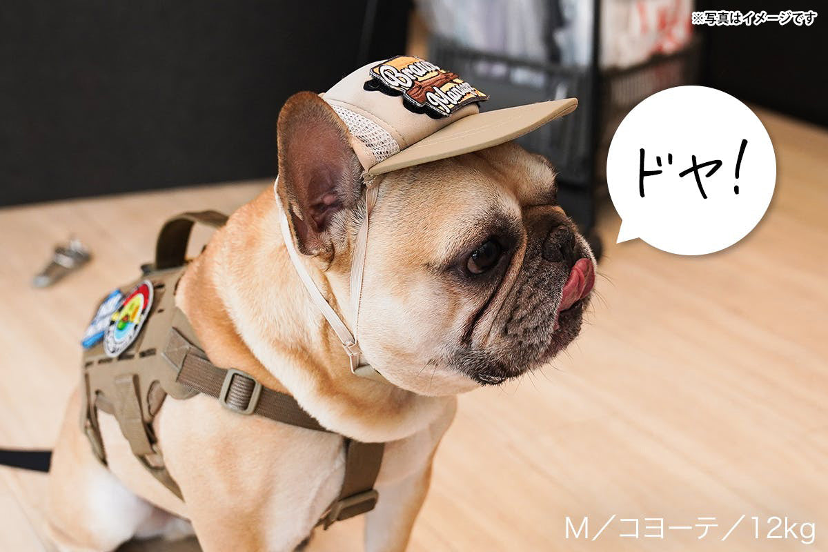 キロナイナー KLONINER カスタムファンキャップ Custom Fun Cap 犬の帽子 S ブラック