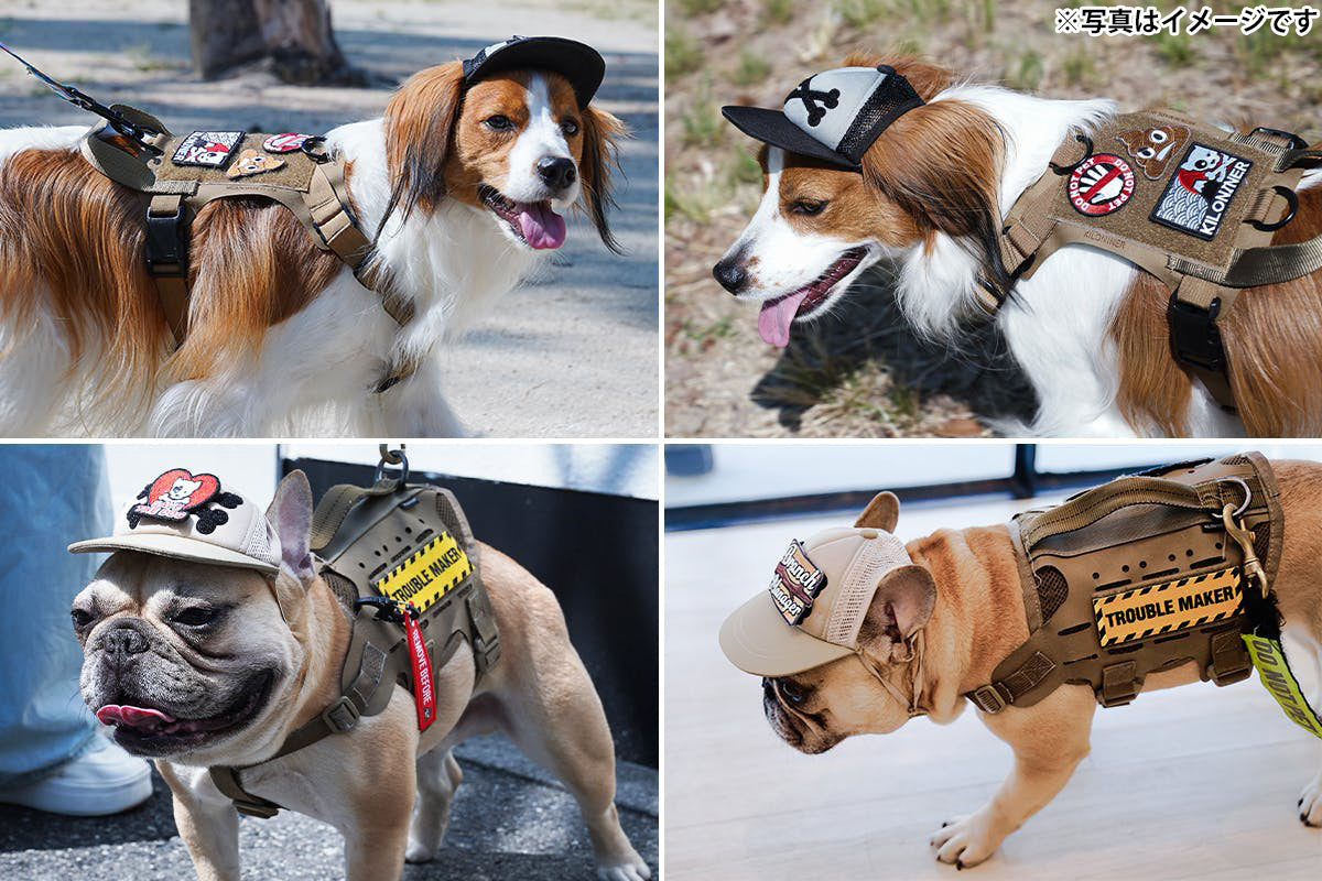 キロナイナー KLONINER カスタムファンキャップ Custom Fun Cap 犬の帽子 S レンジャーグリーン