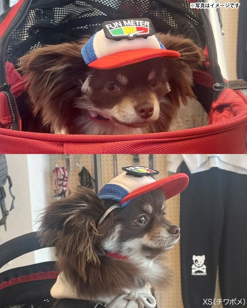 キロナイナー KLONINER カスタムファンキャップ Custom Fun Cap 犬の帽子 XS コヨーテ