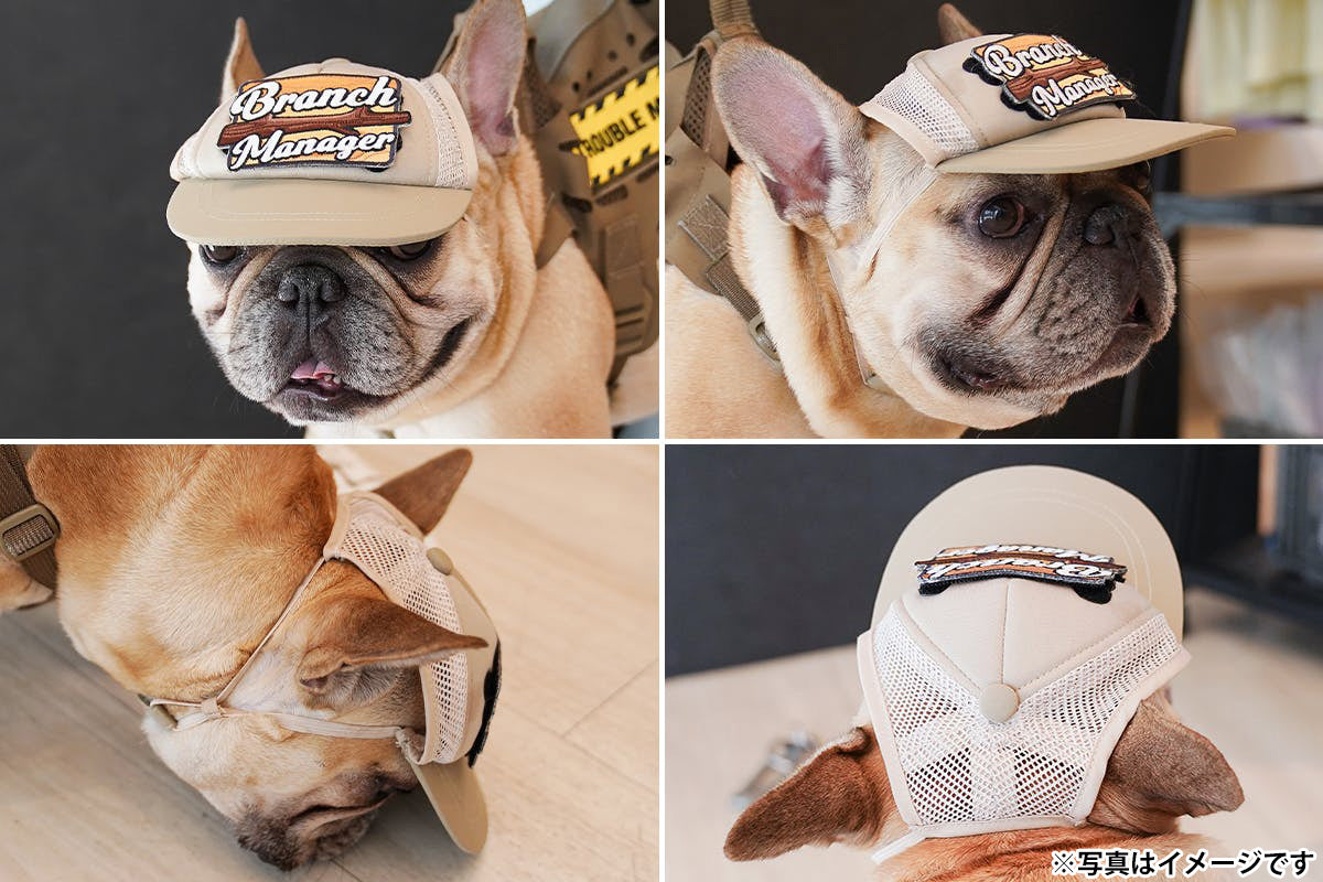 キロナイナー KLONINER カスタムファンキャップ Custom Fun Cap 犬の帽子 XS コヨーテ