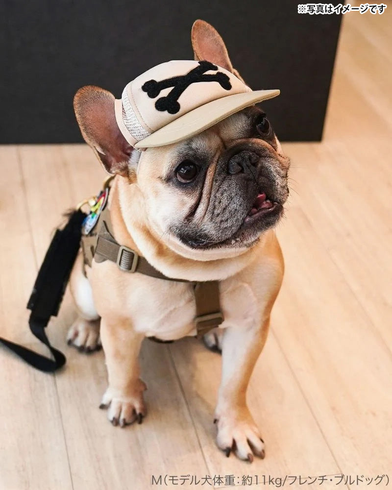 キロナイナー KLONINER カスタムファンキャップ Custom Fun Cap 犬の帽子 XS トリコロール