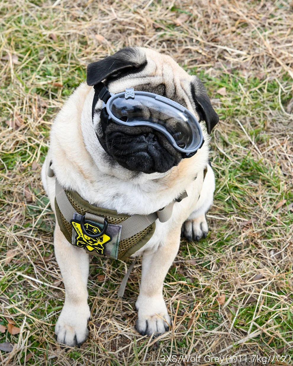 キロナイナー KILONINER ショートノーズゴーグル 短頭犬種用 XXS ブラック