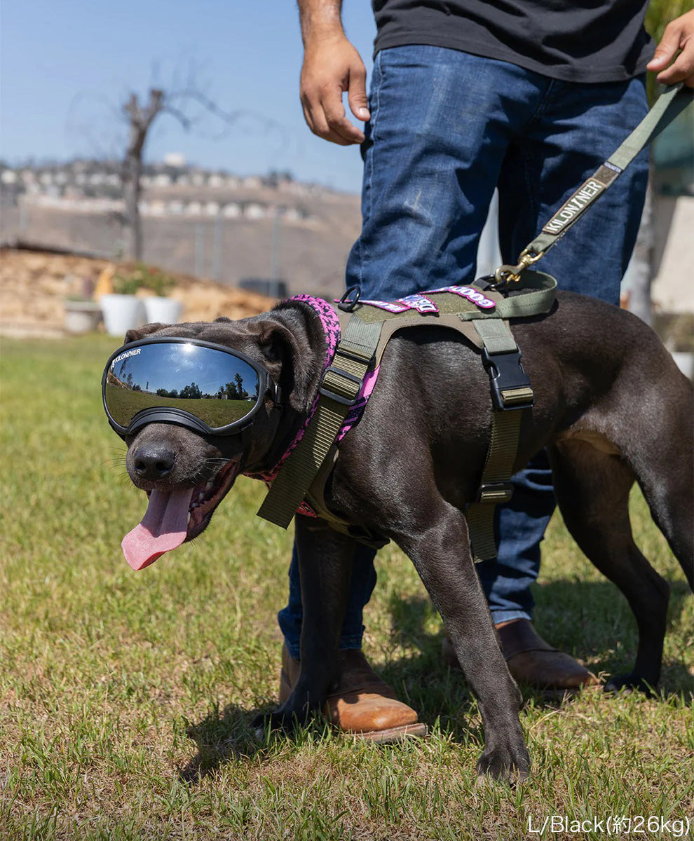 キロナイナー KILONINER R5 ゴーグル 大型犬用 L ブラック