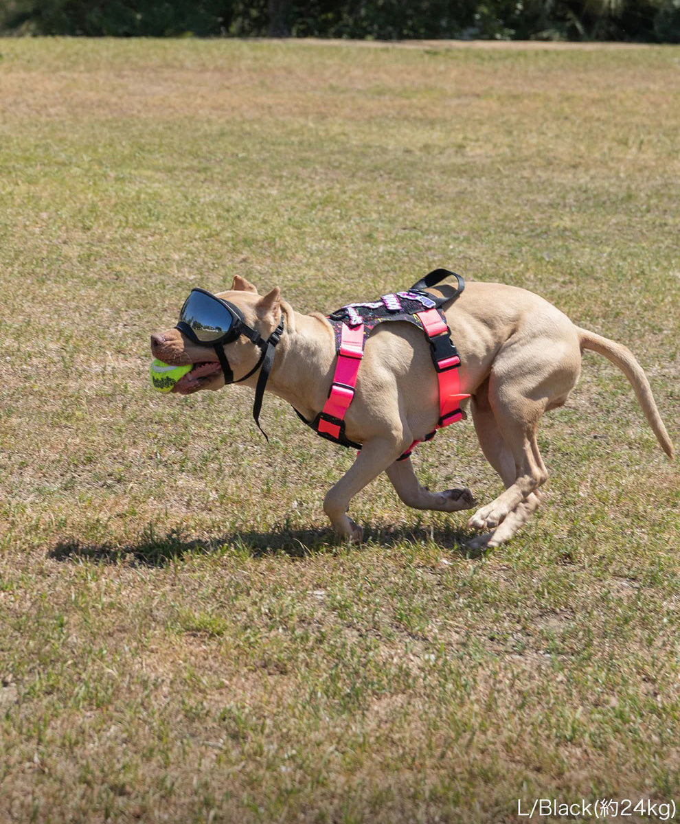 キロナイナー KILONINER R5 ゴーグル 大型犬用 L ブラック