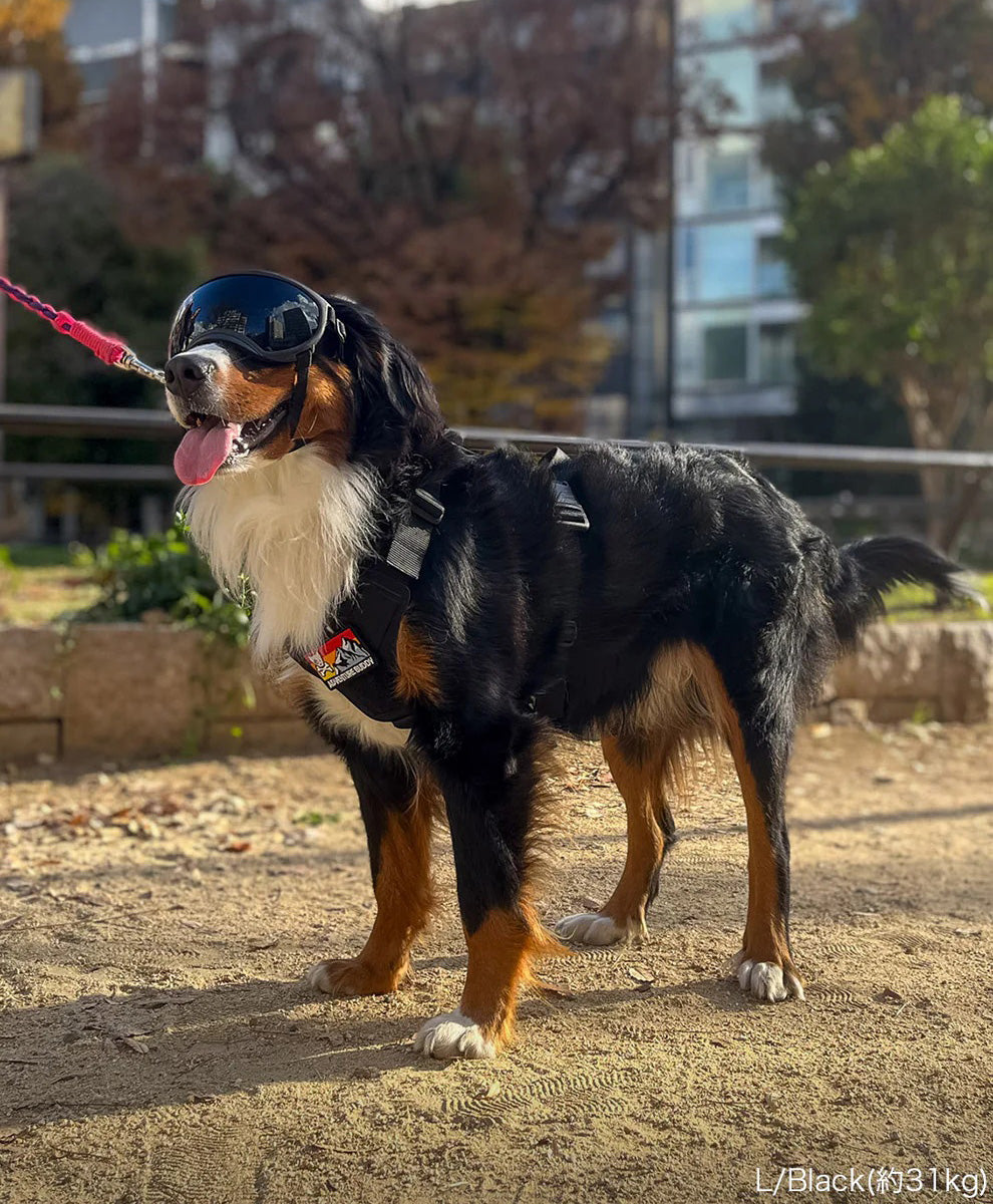 キロナイナー KILONINER R5 ゴーグル 大型犬用 L ブラック