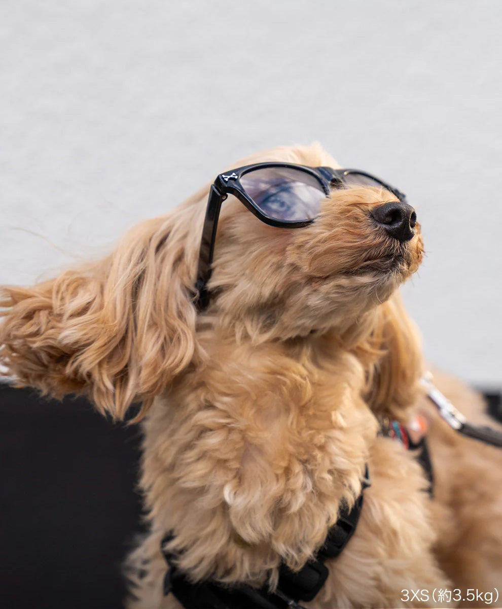 キロナイナー KILONINER ライトシフトグラス 犬用調光サングラス XXS ブラック