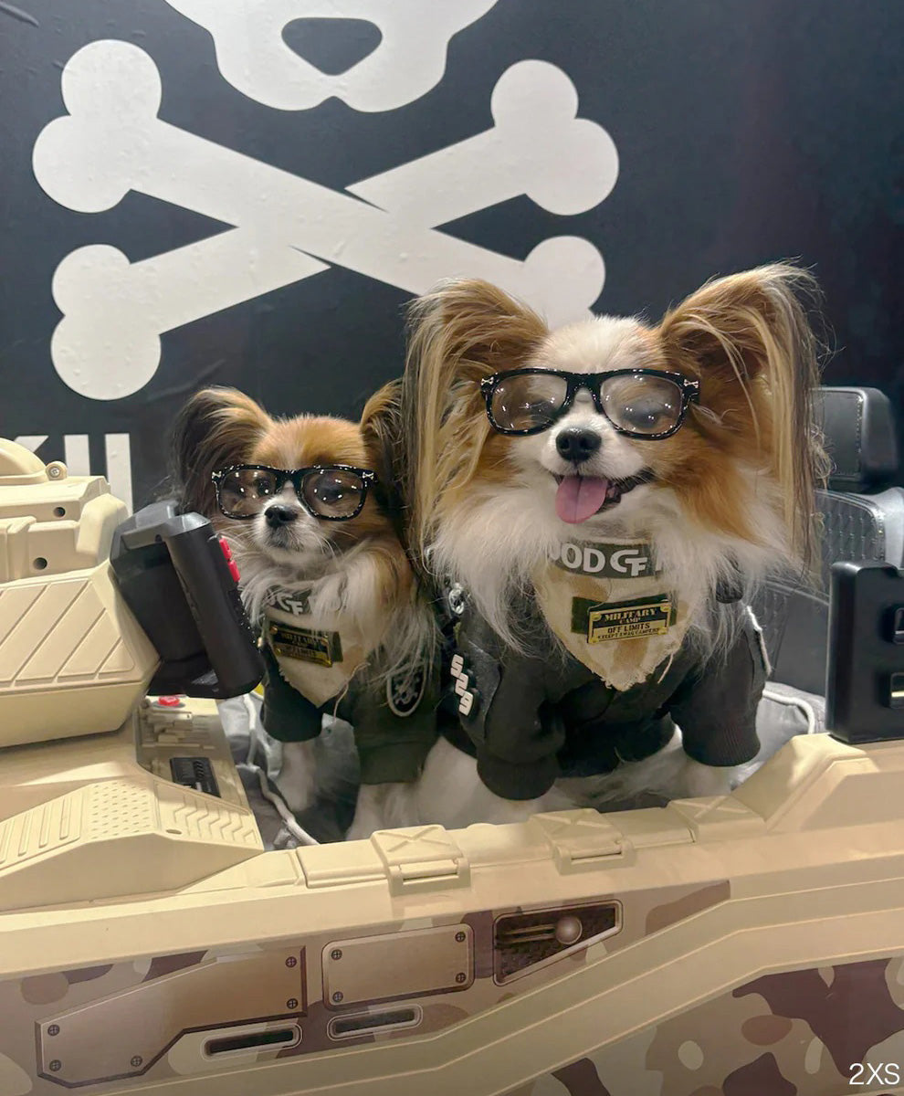 キロナイナー KILONINER ライトシフトグラス 犬用調光サングラス XS ブラック