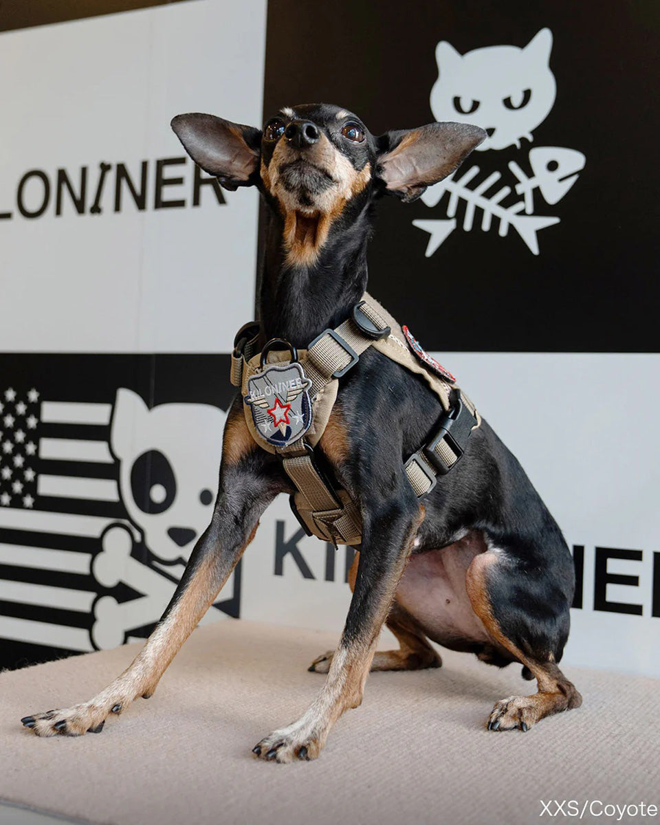 キロナイナー KILONINER M3A ハーネス XS マルチカムブラック