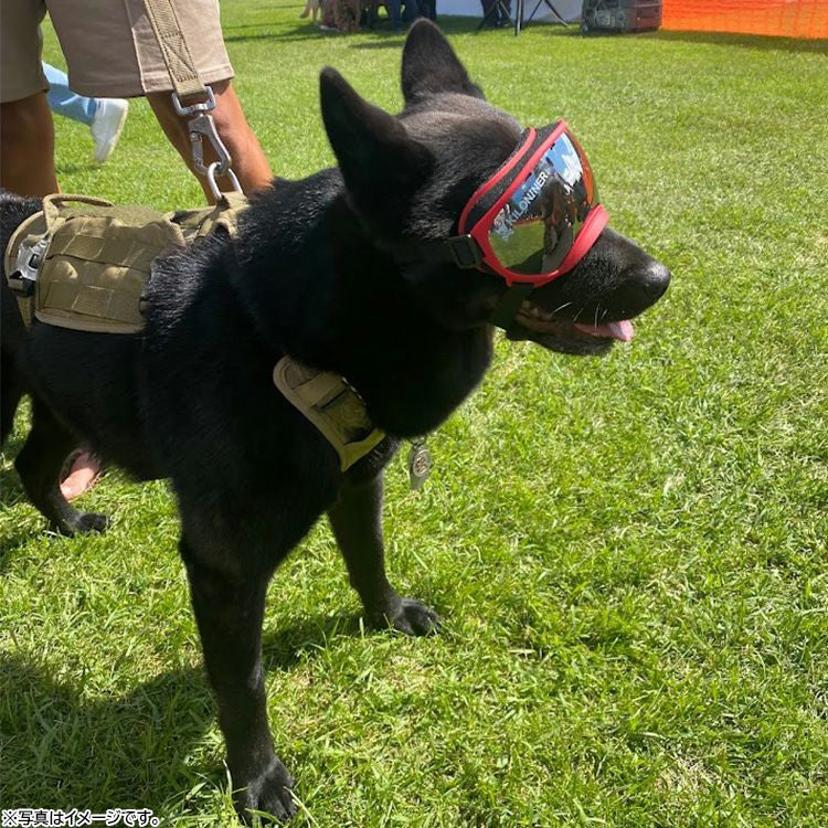 KILONINER キロナイナー R5 Goggles 中型犬用ゴーグル S-M Black【送料無料】