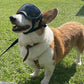 KILONINER キロナイナー R5 Goggles 中型犬用ゴーグル S-M Coyote【送料無料】