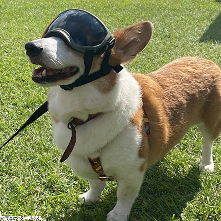 KILONINER キロナイナー R5 Goggles 中型犬用ゴーグル S-M Coyote【送料無料】