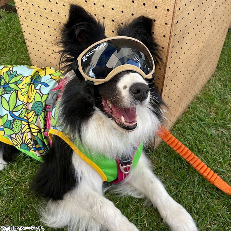 KILONINER キロナイナー R5 Goggles 中型犬用ゴーグル S-M Coyote【送料無料】
