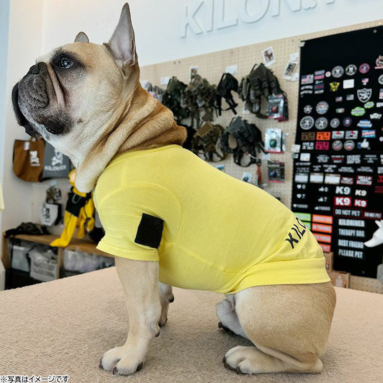 KILONINER キロナイナー ドッグウェア Active Logo T-shirt アクティブロゴ Tシャツ S Yellow【送料無料】