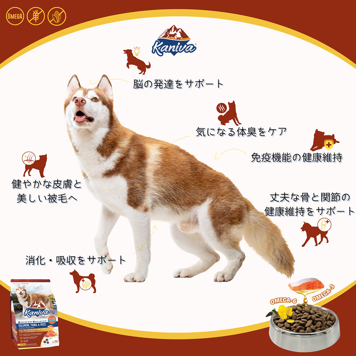 Kaniva カニワ サーモン ツナ＆ライス ドッグフード 1.4kg