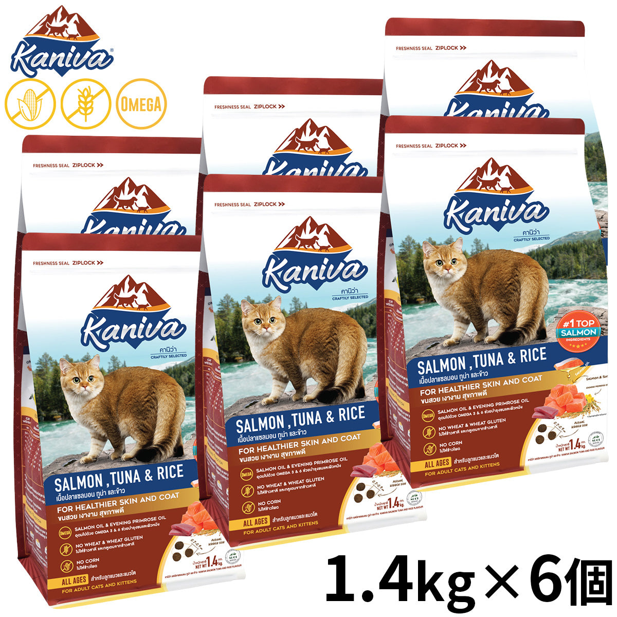 Kaniva カニワ サーモン ツナ＆ライス キャットフード 1.4kg×6個